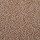 Masland Carpets: Granique Topaz